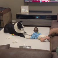 赤ちゃんと犬を撮影していたら…