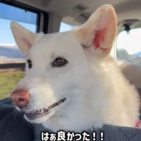 「じゃ、どこ行くの！？」