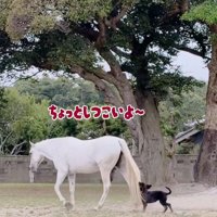 ずっとついてくる♪