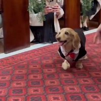 リングを届けて笑顔に♡