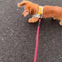 17歳でも元気いっぱい！