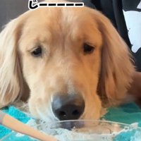 桃を食べるコロッケくん8