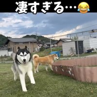 まだまだ若者には負けない大御所