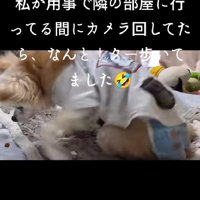 ひとりで立ち上がった！！