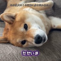 塩対応に戻ってしまいました！