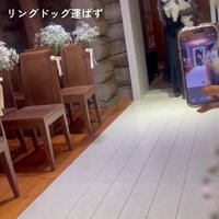 抱っこされる犬1