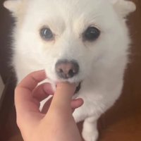 赤ちゃんみたいな姿にキュン♡