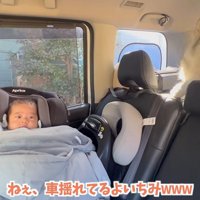 車体を揺らすいちみちゃん
