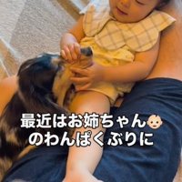 犬のマズルを鷲掴みするわんぱくな子ども