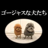 ゴージャス？？？