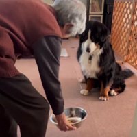 「ハイ、どうぞ」