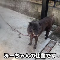 女の子に水をかけられたら…
