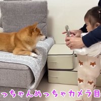 パパがお手伝いします