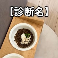 ご飯を食べないパンちゃん3