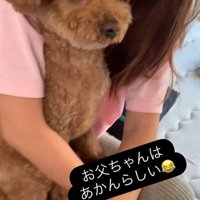 ドルくんの家族への態度の差4