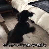 ルークくんはびっくり！