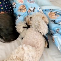 まるでミーアキャット！？