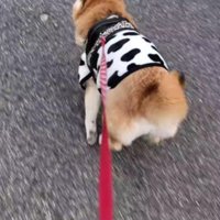 おむつはしばらく先だね♪