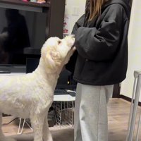 ソラちゃんの熱烈歓迎9