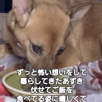 幸せまでもう少し