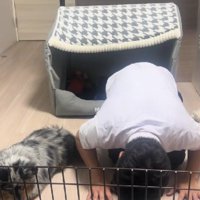 まさかの土下座！！