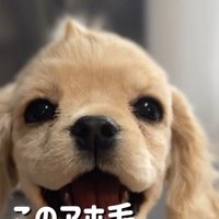 笑顔のパルちゃん