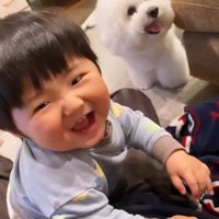 笑顔の赤ちゃんと小型犬