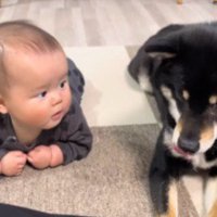 隣に麻呂くんが来て…