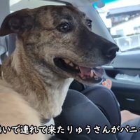 車で待機中