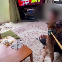 2匹も誕生日を祝います