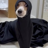 洗濯物から出られなくなったルカちゃん
