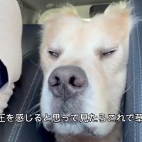 白目をむいてリラックス
