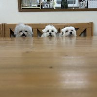 仲良し