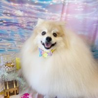 ふわふわ