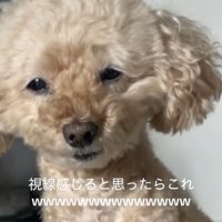 なんとも言えない表情…