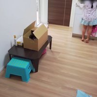 自主的に手を洗った！