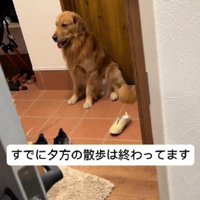 「お散歩足りない！！」