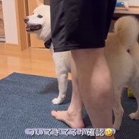 何かをお願いしに来たごん太くん4