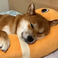 幸せそうな寝顔♡
