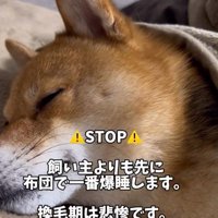 ひとりで布団を占領