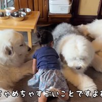 微笑ましい光景にホッコリ