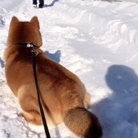 お別れのとき…