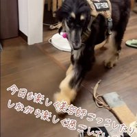 ひとつ結びが似合っています♡