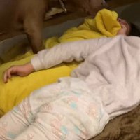 泣いている子をクンクン