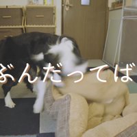 ベッドを振り回して「遊ぶの！」と主張