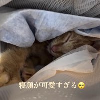 抱っこ紐でスヤスヤ
