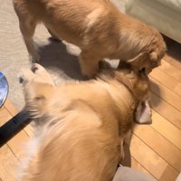 何をされても怒りません