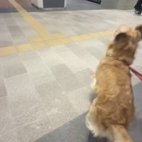 「見つけた！」