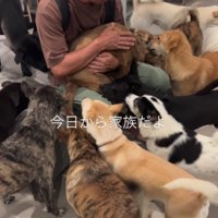 家族として受け入れることを決意