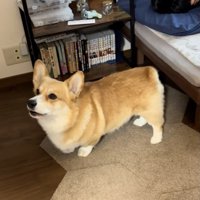 「起きてー！！」